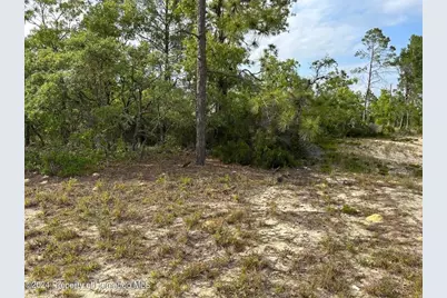 2923 W Pintado Drive, Citrus Springs, FL 34433 - Photo 5