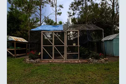 31439 Stirrup Lane, Wesley Chapel, FL 33543 - Photo 41