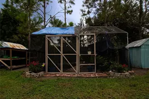31439 Stirrup Ln, Wesley Chapel, FL 33543 - Photo 41