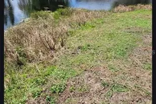 2944 Palm Cir, Haines City, FL 33844 - Photo 33