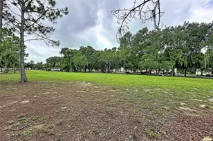 2868 Tanzanite Terrace, Kissimmee, FL 34758 - Photo 43