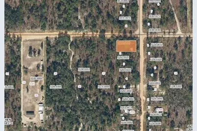 231 Violet Ave, Interlachen, FL 32148 - Photo 3