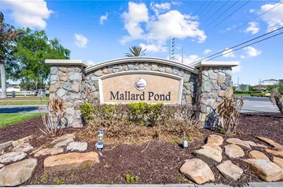 3313 Pekin Street, Saint Cloud, FL 34772 - Photo 25