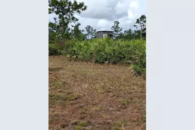 Holopaw Groves Road, Saint Cloud, FL 34771 - Photo 5