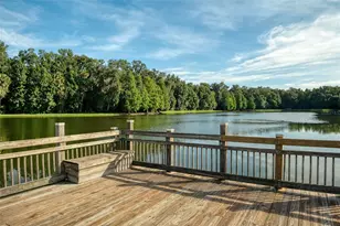 513 Mirasol Cir, Celebration, FL 34747 - Photo 49