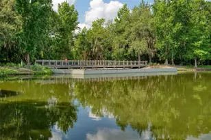 513 Mirasol Cir, Celebration, FL 34747 - Photo 41
