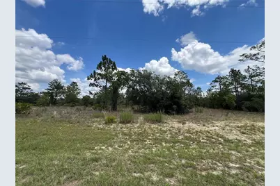 3309 W Hampshire Boulevard, Citrus Springs, FL 34433 - Photo 9