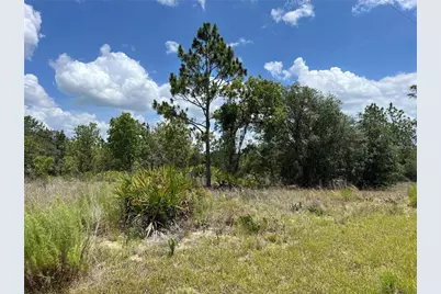 3309 W Hampshire Boulevard, Citrus Springs, FL 34433 - Photo 3