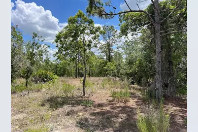 3309 W Hampshire Boulevard, Citrus Springs, FL 34433 - Photo 7