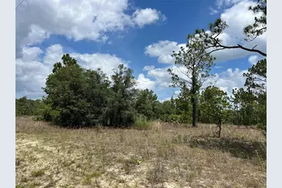3309 W Hampshire Boulevard, Citrus Springs, FL 34433 - Photo 5