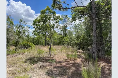 3323 W Hampshire Boulevard, Citrus Springs, FL 34433 - Photo 7