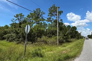 Dallas Blvd, Orlando, FL 32833 - Photo 1