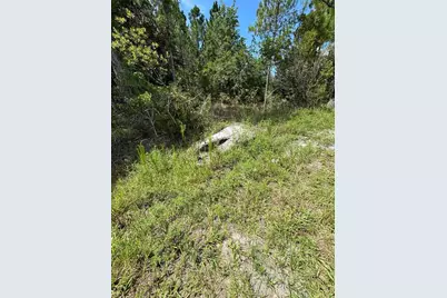 Dallas Blvd, Orlando, FL 32833 - Photo 13
