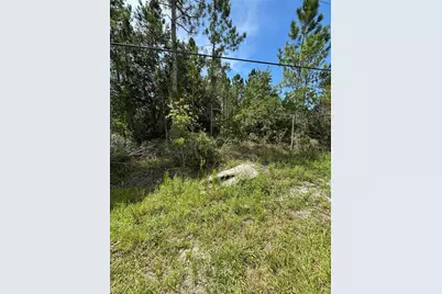 Dallas Blvd, Orlando, FL 32833 - Photo 11