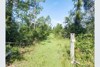 3901 181st Road, Live Oak, FL 32060 - Photo 13