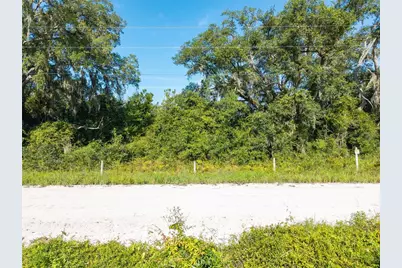 3901 181st Road, Live Oak, FL 32060 - Photo 9