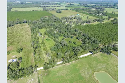3901 181st Road, Live Oak, FL 32060 - Photo 7