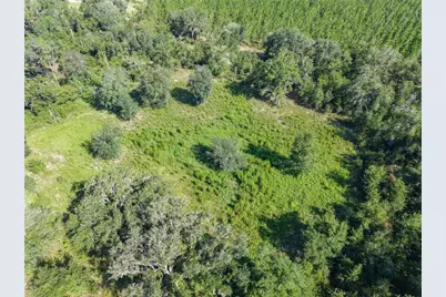 3901 181st Road, Live Oak, FL 32060 - Photo 15