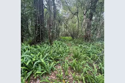 Jones Avenue, Sanford, FL 32773 - Photo 1