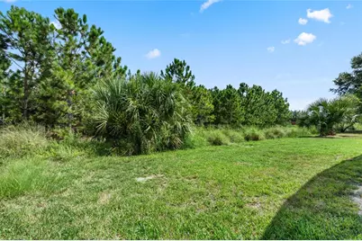2631 Autumn Creek Circle, Kissimmee, FL 34747 - Photo 67