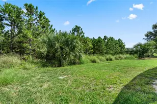 2631 Autumn Creek Cir, Kissimmee, FL 34747 - Photo 67
