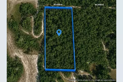 X, Citra, FL 32113 - Photo 1