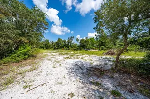 40200 Swift Rd, Eustis, FL 32736 - Photo 21