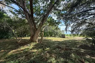 8156 Dogyard Rd, Lake Wales, FL 33898 - Photo 1