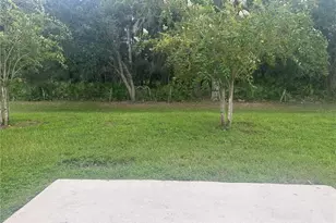 4439 Twisted Twig Bnd, Kissimmee, FL 34746 - Photo 3