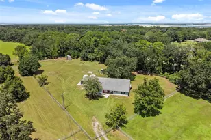 3546 Futch Rd, Plant City, FL 33566 - Photo 3