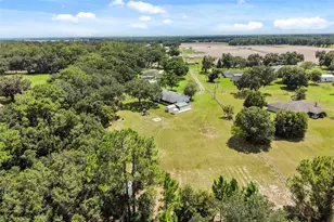 3546 Futch Rd, Plant City, FL 33566 - Photo 37