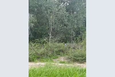 10860 N Mataro Avenue, Citrus Springs, FL 34434 - Photo 1
