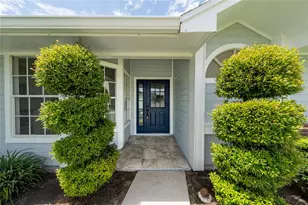 2042 Gamboge Dr, Orlando, FL 32822 - Photo 3