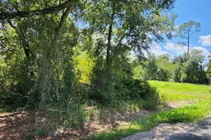 6th Ave, Deland, FL 32724 - Photo 1