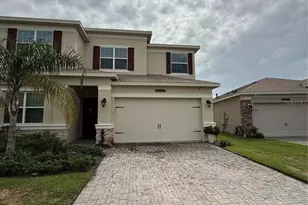 3294 Woodland Brk Wy, Wesley Chapel, FL 33543 - Photo 3