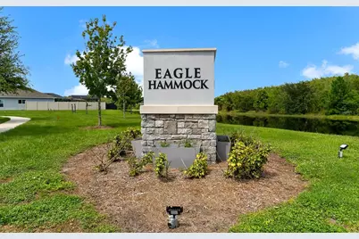 3122 Eagle Hammock Circle, Kissimmee, FL 34743 - Photo 43