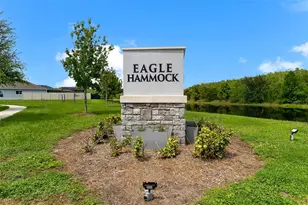 3122 Eagle Hammock Cir, Kissimmee, FL 34743 - Photo 43