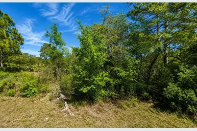 104 Tobler Terrace NW, Lake Placid, FL 33852 - Photo 1