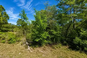 104 Tobler Terrace NW, Lake Placid, FL 33852 - Photo 1