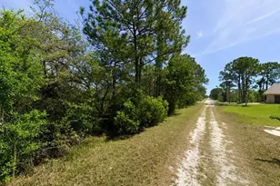 104 Tobler Terrace NW, Lake Placid, FL 33852 - Photo 3