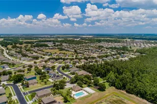 847 Ayden Oak Ln, Ocoee, FL 34761 - Photo 51