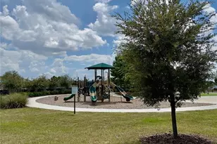 2098 Gold Dust Dr, Minneola, FL 34715 - Photo 29