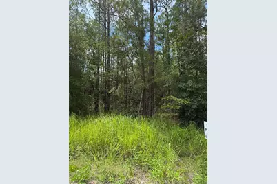 4500 SW 175 Court, Dunnellon, FL 34432 - Photo 1