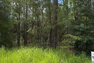 4500 SW 175th Ct, Dunnellon, FL 34432 - Photo 1