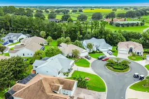 1305 La Estrellita Way, The Villages, FL 32162 - Photo 67