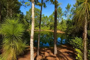 5350 Osceola Dr, Saint Cloud, FL 34773 - Photo 3