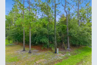 Mustang, Saint Cloud, FL 34771 - Photo 5