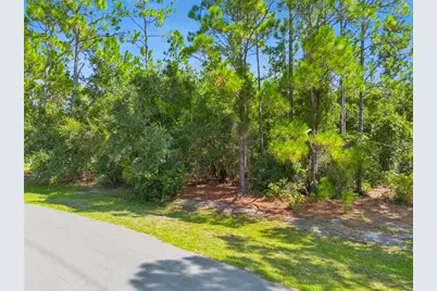 Mustang, Saint Cloud, FL 34771 - Photo 3