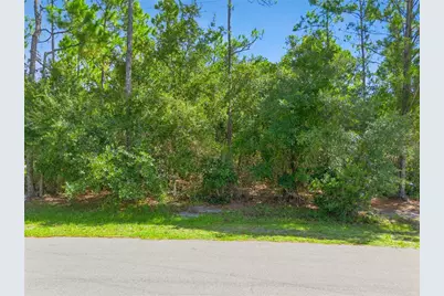 Mustang, Saint Cloud, FL 34771 - Photo 1