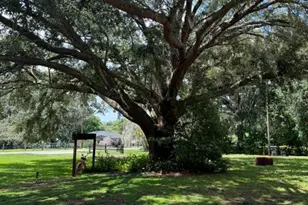 10217 Quinn Rd, Polk City, FL 33868 - Photo 11